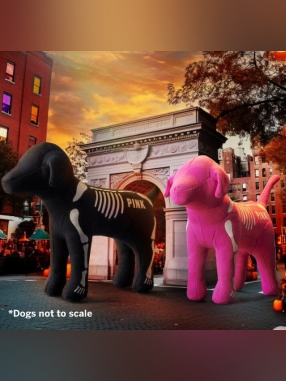 PINK Victoria's Secret Black Dog Skeleton - Picture 5 of 5